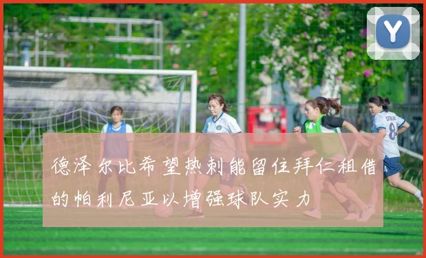 德泽尔比希望热刺能留住拜仁租借的帕利尼亚以增强球队实力